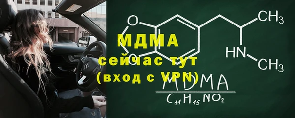 крисы Бородино