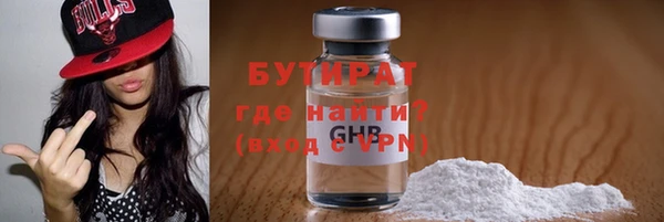 крисы Бородино