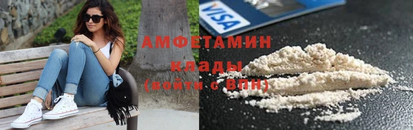 крисы Бородино