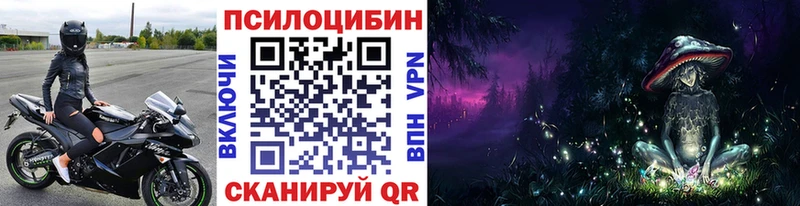 гидра ТОР  Катайск  Псилоцибиновые грибы Cubensis 