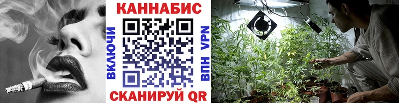 Шишки марихуана марихуана сайты даркнета наркотические препараты Катайск закладки hydra как войти